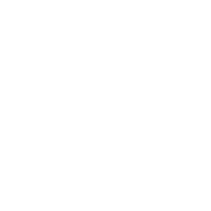 arche-noah